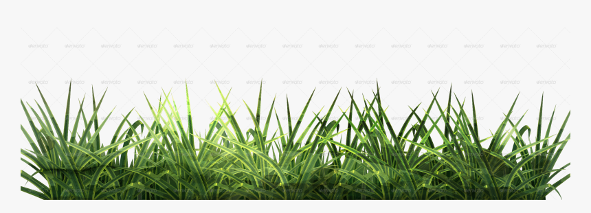 Conceptual Vectors Sweet Grass - Feuille Canne A Sucre, HD Png Download, Free Download