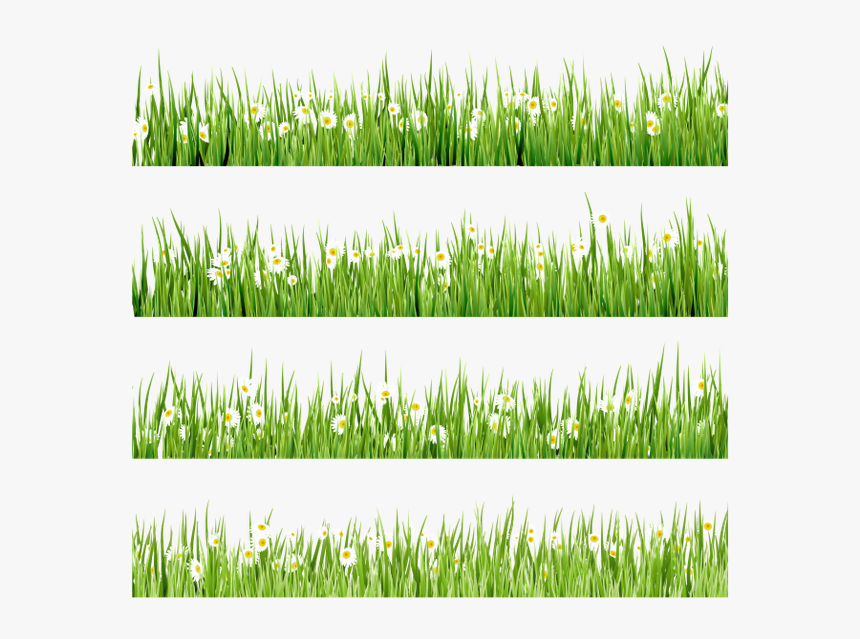 Флора, Зеленая Трава, Green Grass, Grünes Gras, Flore, - Grass Border Designs, HD Png Download, Free Download