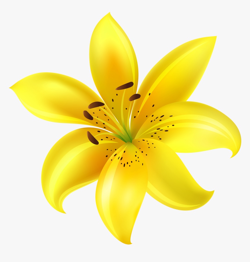 Flowers Clipart Yellow Flower, HD Png Download, Free Download