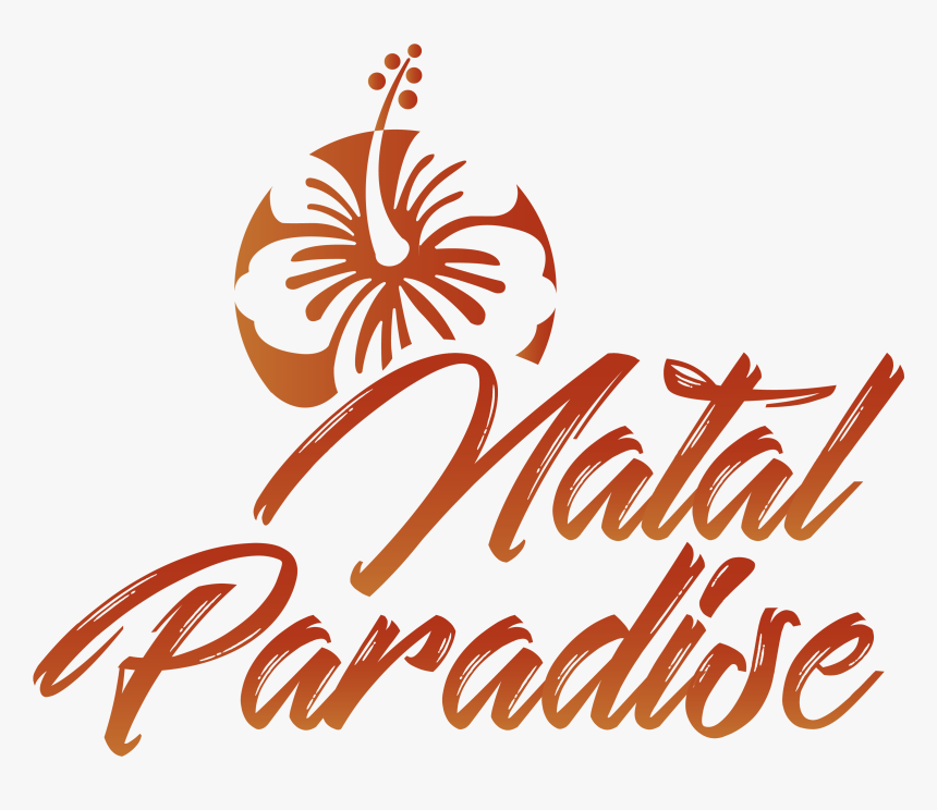 Pousada Natal Paradise - Pousada Natal Paradise Ponta Negra, HD Png Download, Free Download