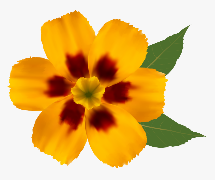 Download Flower Free Png Transparent Image And Clipart - Transparent Yellow Flower Png, Png Download, Free Download