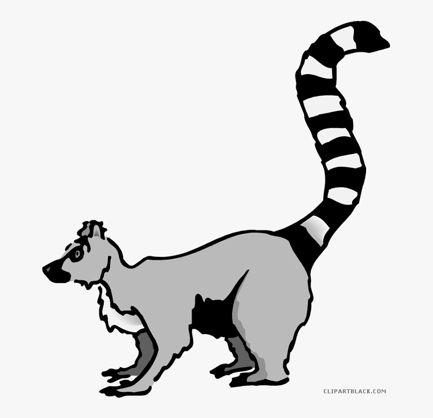 Lemur Animal Free Black White Clipart Images Clipartblack - Lemur Clipart, HD Png Download, Free Download