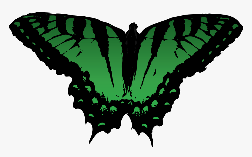 Butterfly Vector Free For Use By Romansiii On Clipart - Free Green Vector Butterfly, HD Png Download, Free Download