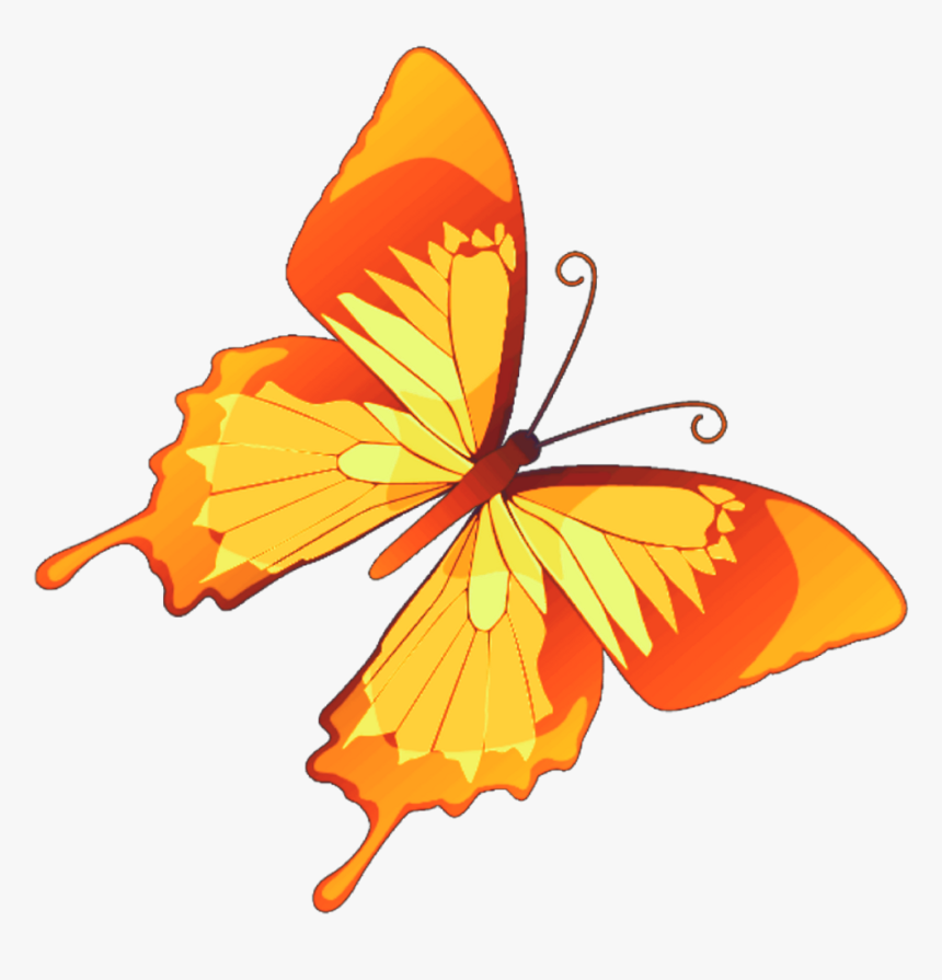 Butterfly Mariposa Diurna Day Diurnal Spring Primavera - Butterfly Vector, HD Png Download, Free Download
