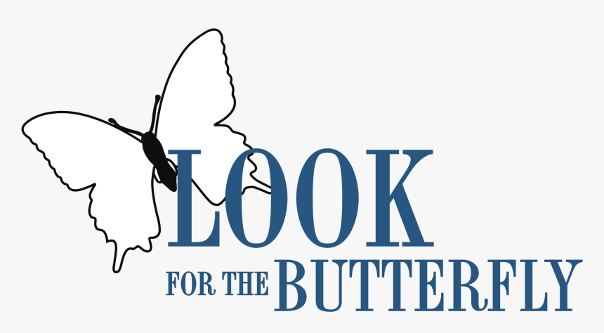 Butterfly, HD Png Download, Free Download