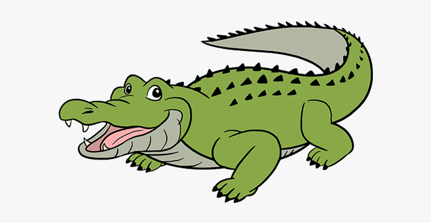 How To Draw Alligator - Alligator Drawing, HD Png Download, Free Download