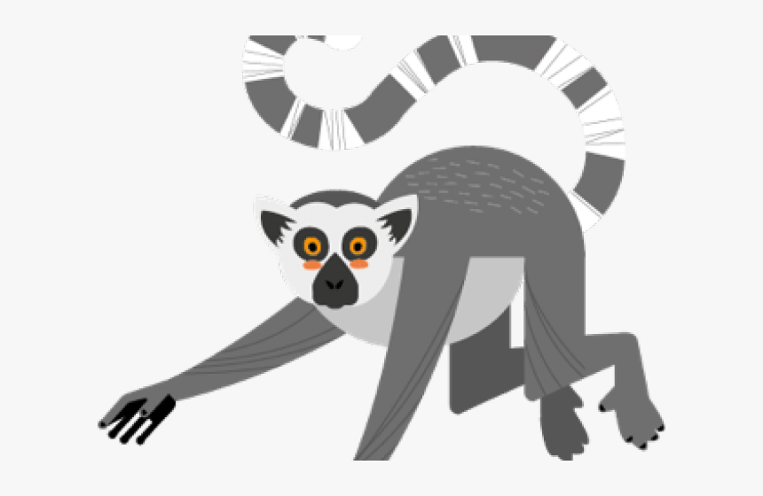 Ring Tail Lemur Clipart, HD Png Download, Free Download