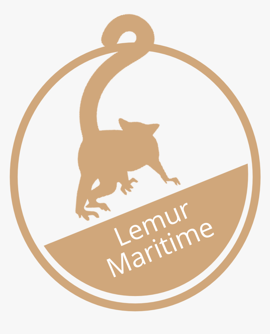 Lemur Png, Transparent Png, Free Download