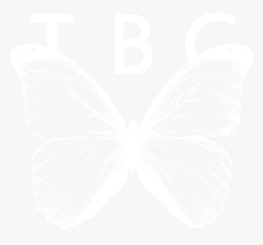 Transparent Butterfly Vector Png - Lycaenid, Png Download, Free Download