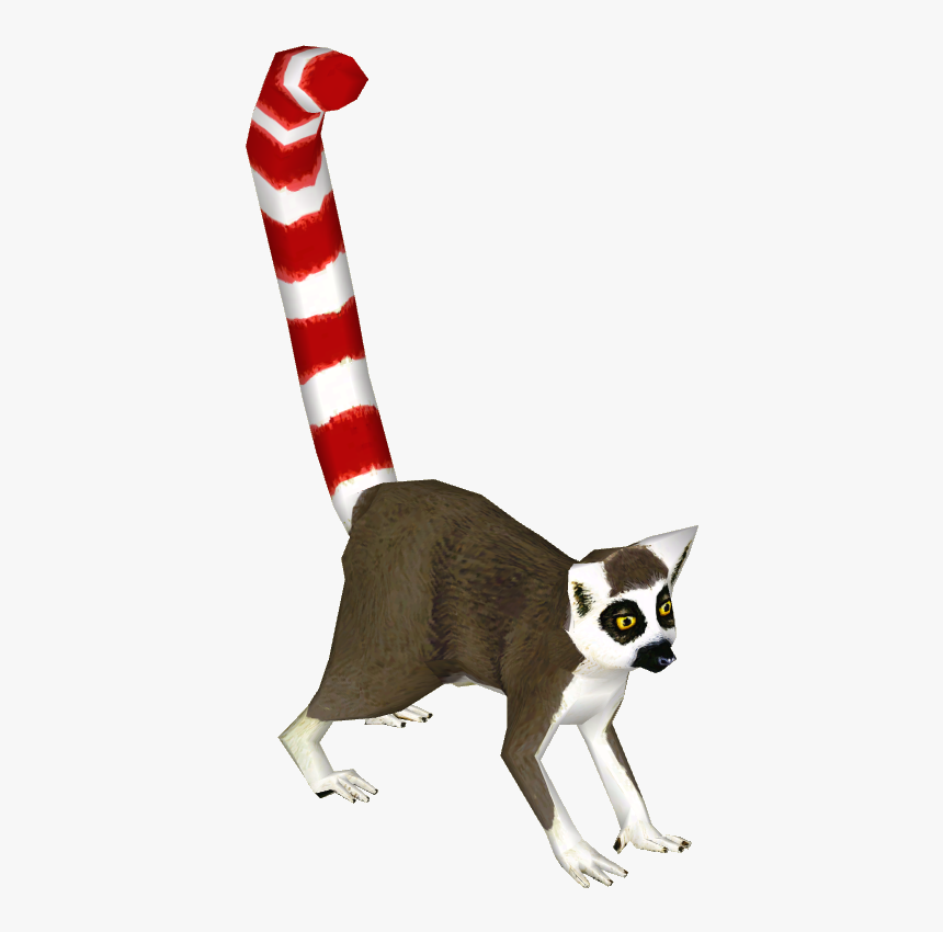 Candy Cane Lemur - Procyon, HD Png Download, Free Download