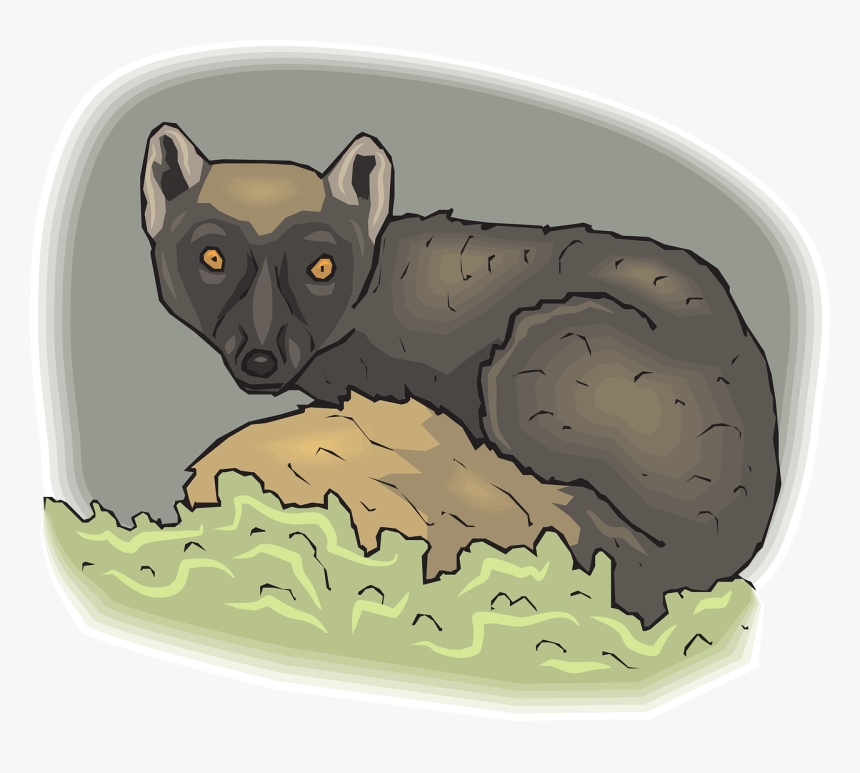 Lemur, Animal, Mammal, Nature, Wild, Wildlife, Zoo - Hyena, HD Png Download, Free Download