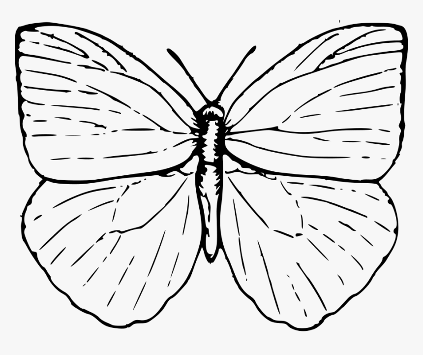 Butterfly 2 Svg Clip Arts - Cross Contour Line Drawing Examples, HD Png Download, Free Download