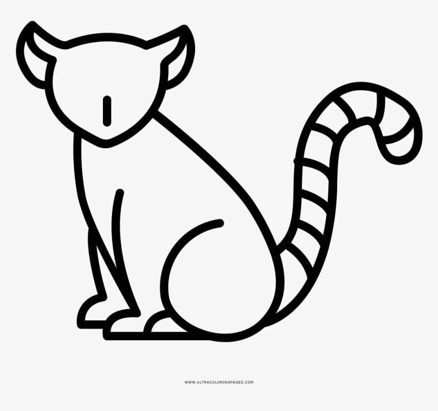 Lemur Coloring Page - Black Lemur Coloring Page, HD Png Download, Free Download