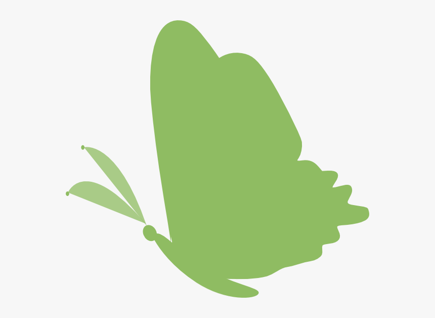 Green Butterfly Images Vector, HD Png Download, Free Download