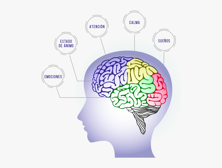 Cyan brain shtampik