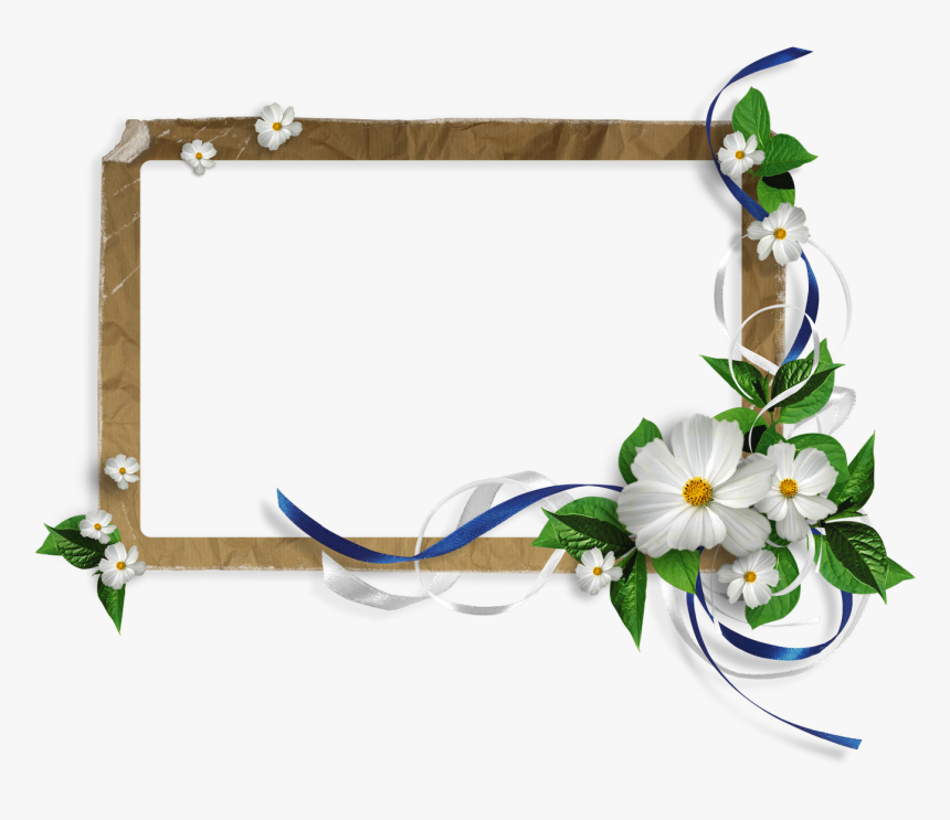 Cadre De Fleurs Blanches - صور قسم الفيزياء, HD Png Download, Free Download