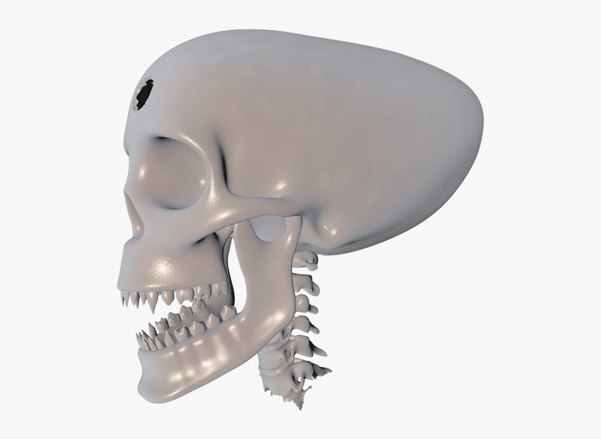 Skull, HD Png Download, Free Download