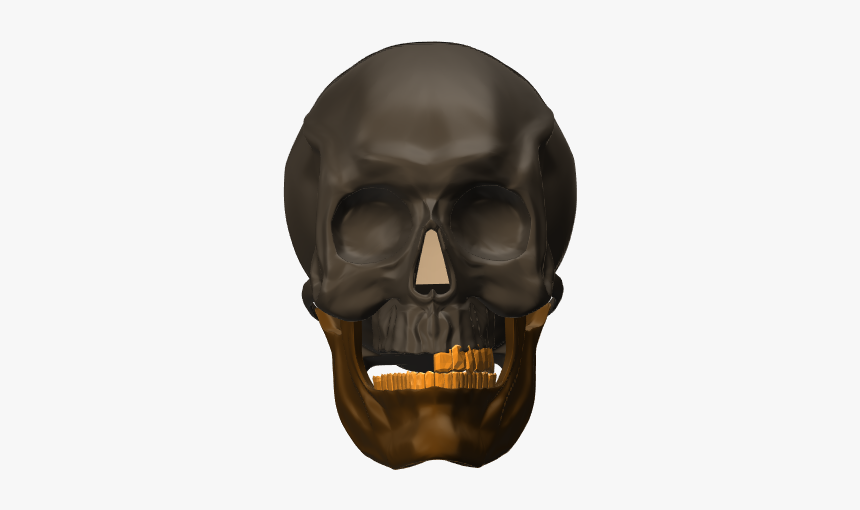 3d Design By Enter Inventive Studio Apr 2, - Skull, HD Png Download, Free Download