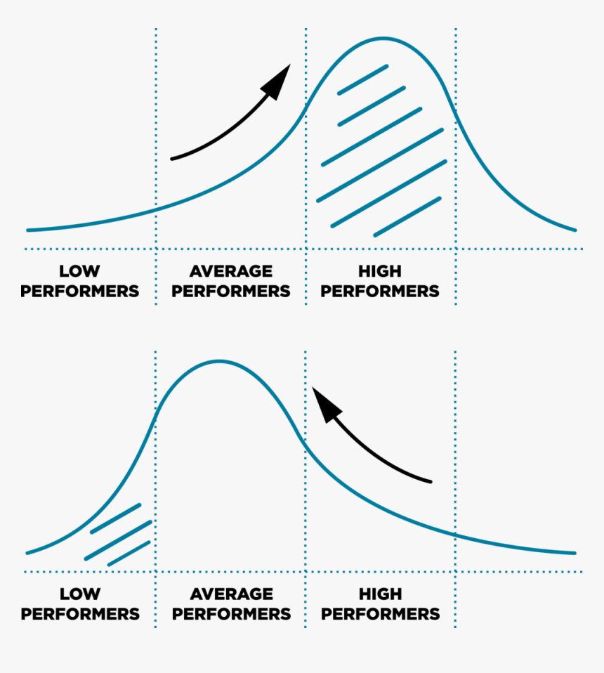 In The Bell Curve Model, Employees Are Segmented Into - Bell Curve Of Performance Appraisal, HD Png Download, Free Download