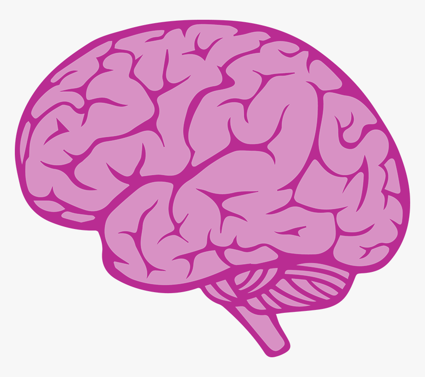 Brain download. Мозг рисунок. Мозг нарисованный.
