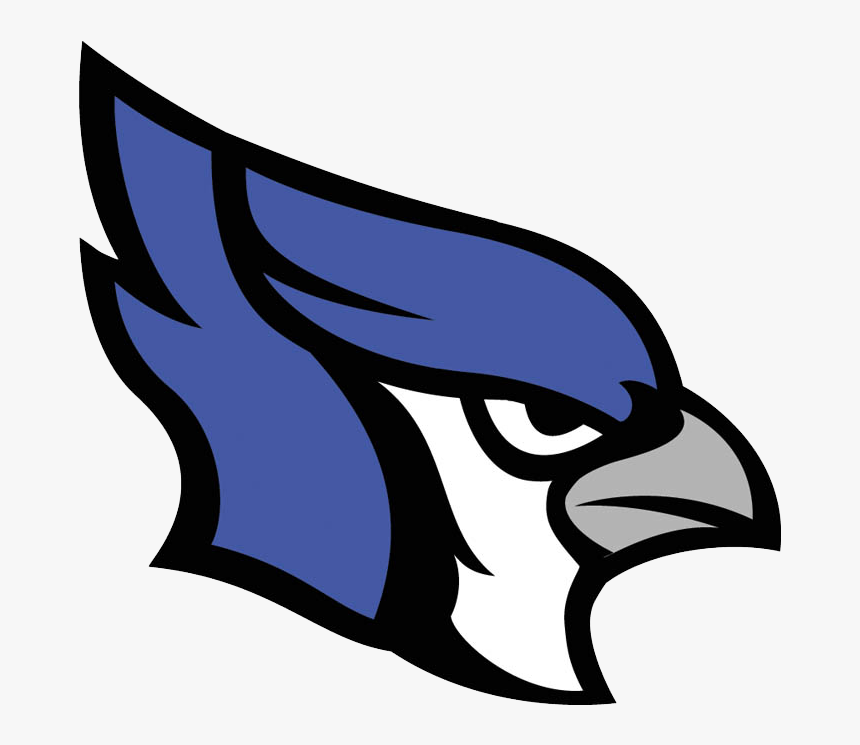 Transparent Blue Jay Png Marshfield Bluejays Png Download Kindpng