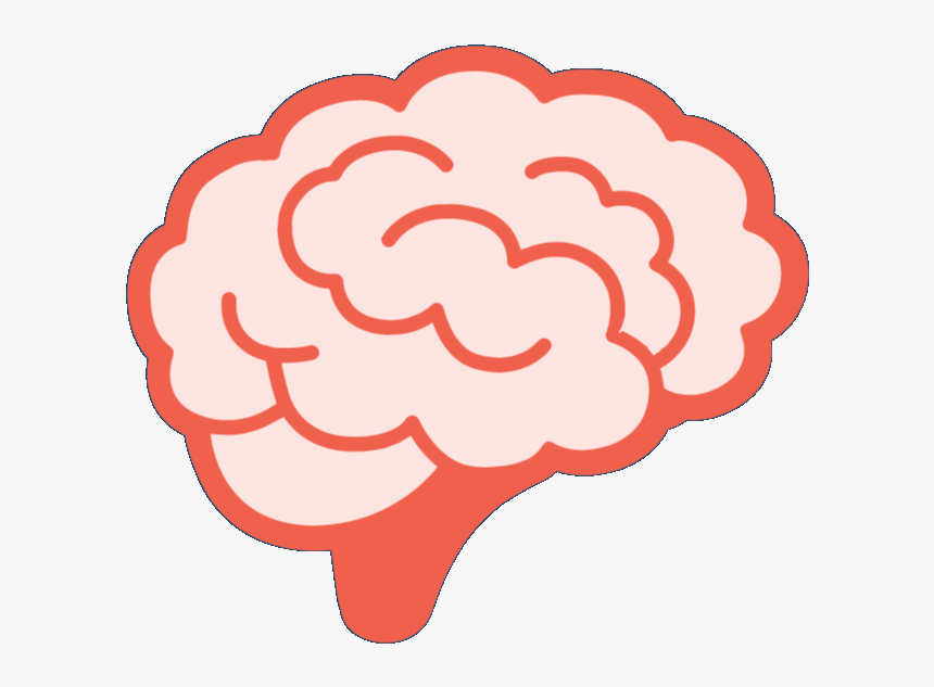 Brain On Finance - Side View Of Brain Cartoon, HD Png Download, Free Download