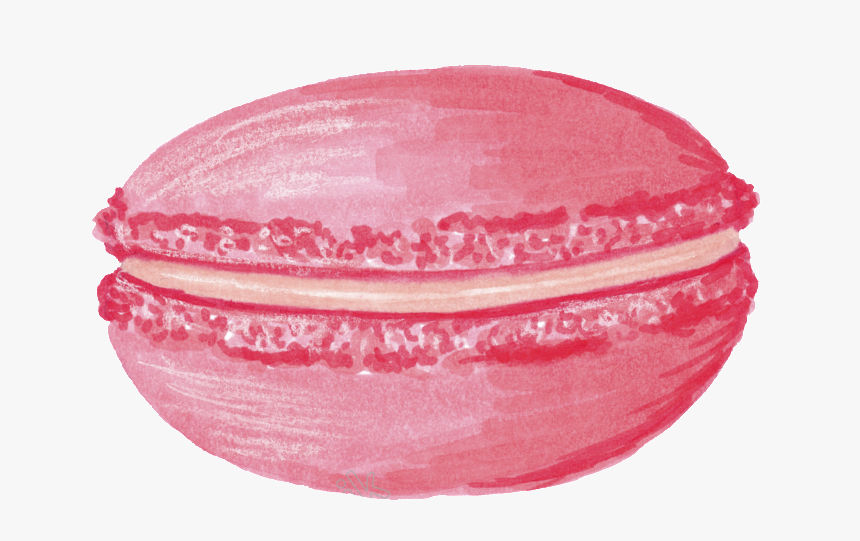 Transparent Macaron Png - Macaron Watercolor Png, Png Download, Free Download