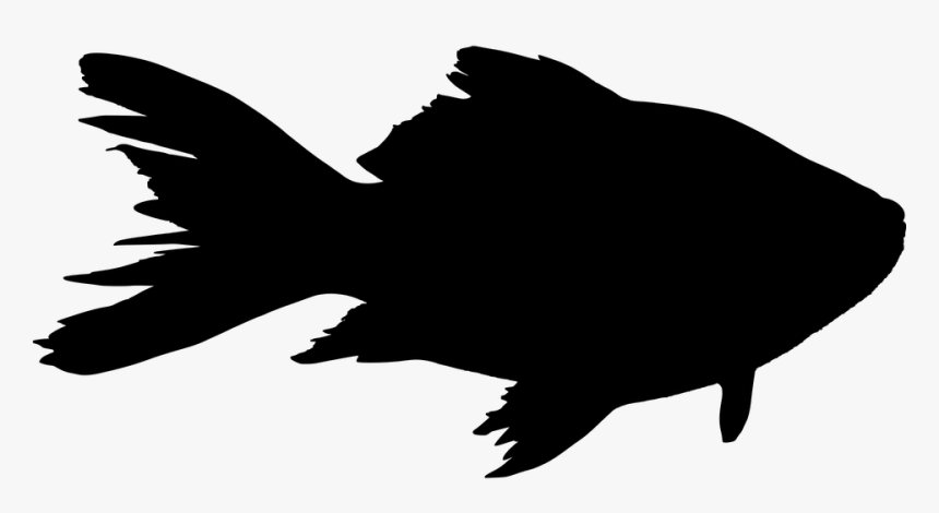 Fish Silhouette, HD Png Download, Free Download