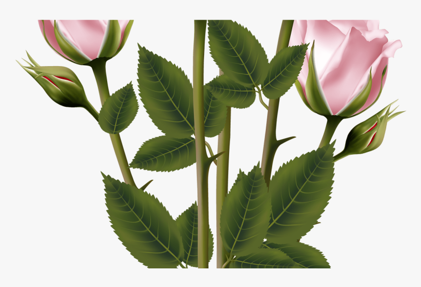 White And Pink Rose Bouquet Transparent Png Clip Art - Vector Graphics Flower Bouquet Png, Png Download, Free Download