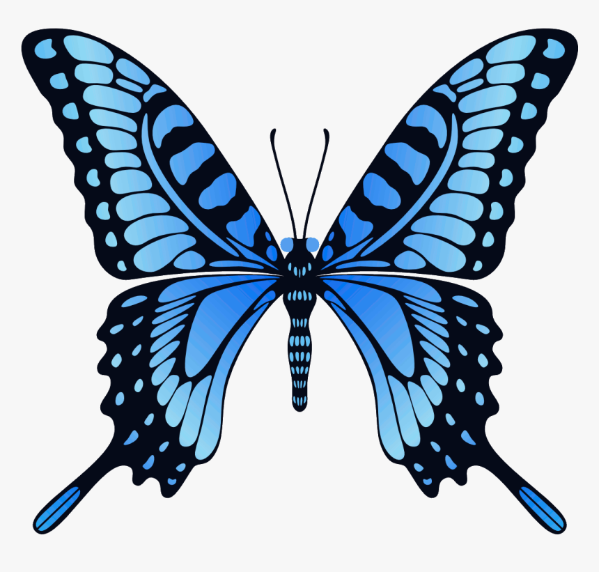 Png Image Free Picture - Animated Butterfly Gif, Transparent Png, Free Download