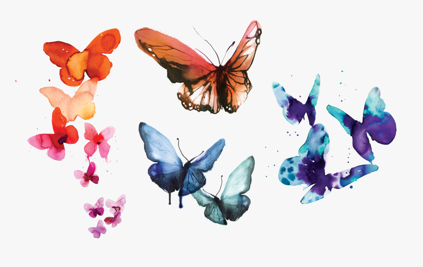 Watercolor Butterflies Set By Stina Persson From Tattly - Watercolor Butterfly Png, Transparent Png, Free Download