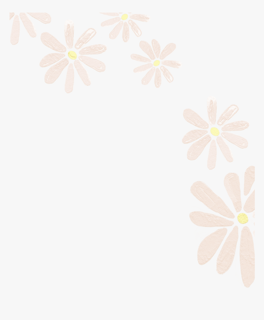 Flowers Cream Yellow Sticker Png - African Daisy, Transparent Png, Free Download