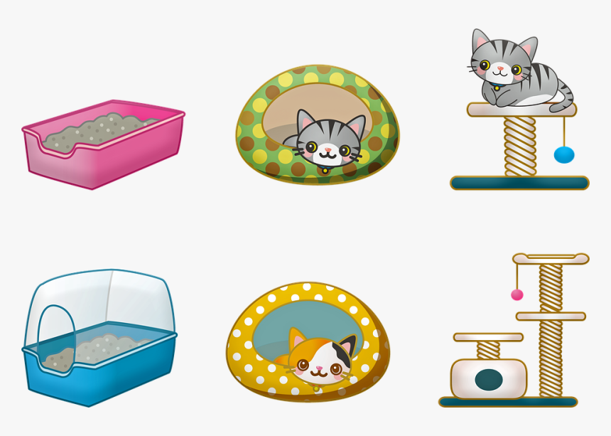 Cat Bed, Cat Toy, Cat Litter, Kitten, Kitty, Cat, HD Png Download, Free Download