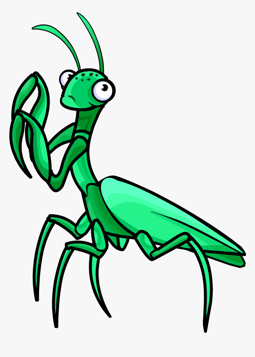 Mantis Png - Praying Mantis Clipart Png, Transparent Png, Free Download