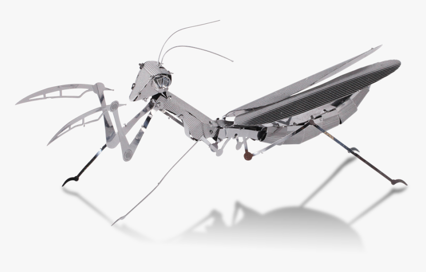 Remote Control Praying Mantis, HD Png Download, Free Download