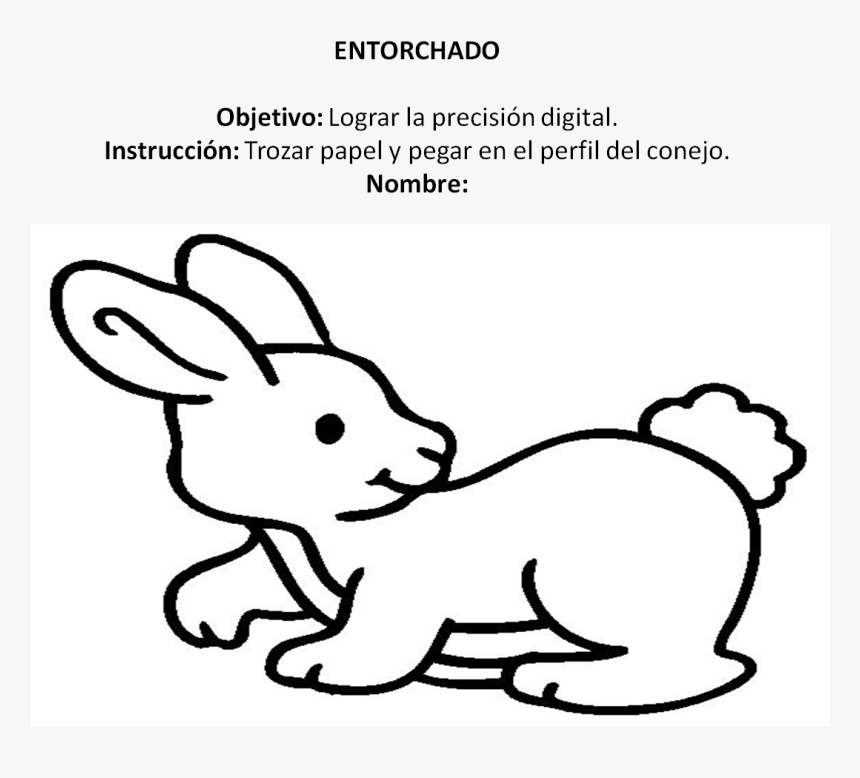 Imagen14 - Rabbit Cartoon Coloring Pages, HD Png Download, Free Download