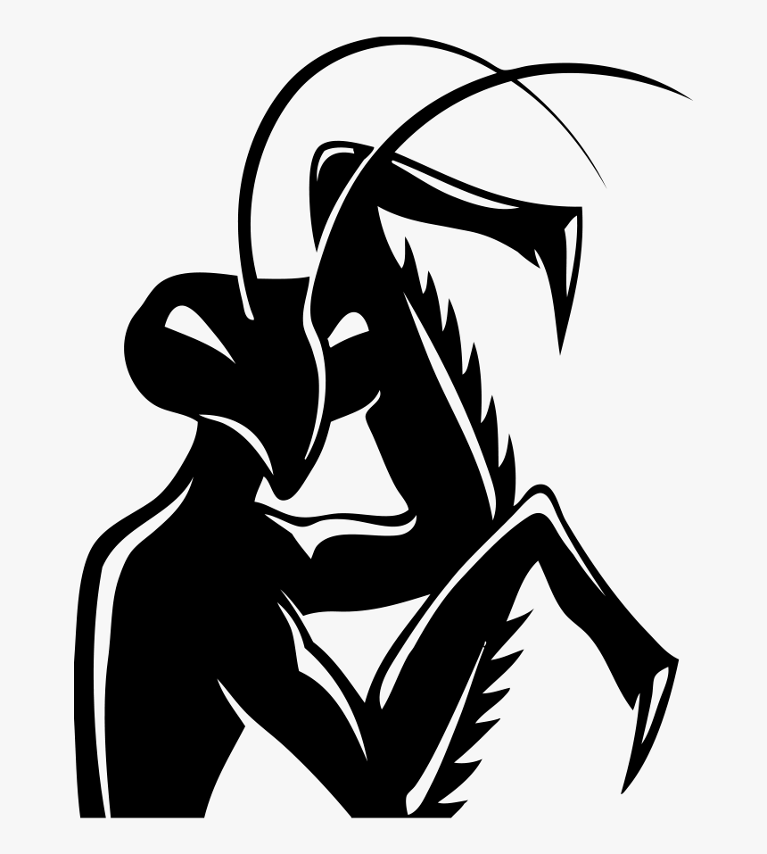 Black Mantis Kung Fu , Transparent Cartoons - Praying Mantis Drawing, HD Png Download, Free Download