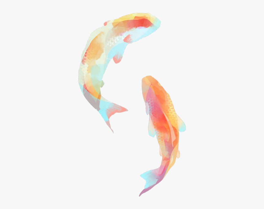 Fish Png, Transparent Png, Free Download