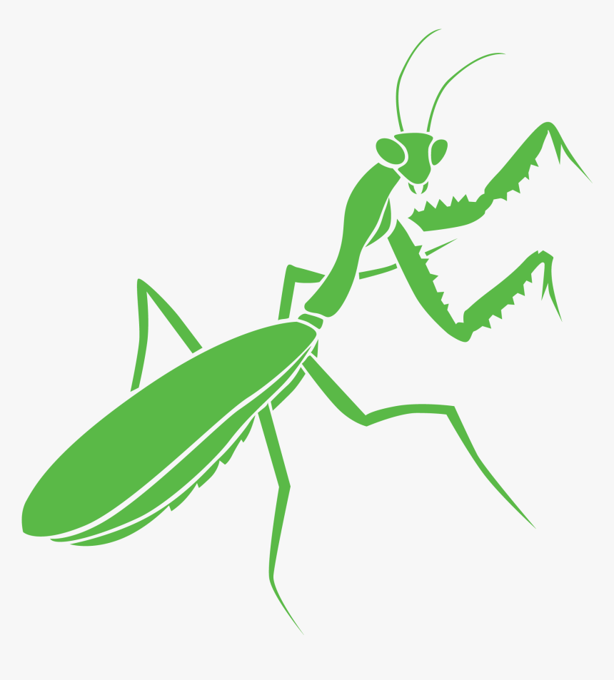 Ant, HD Png Download, Free Download