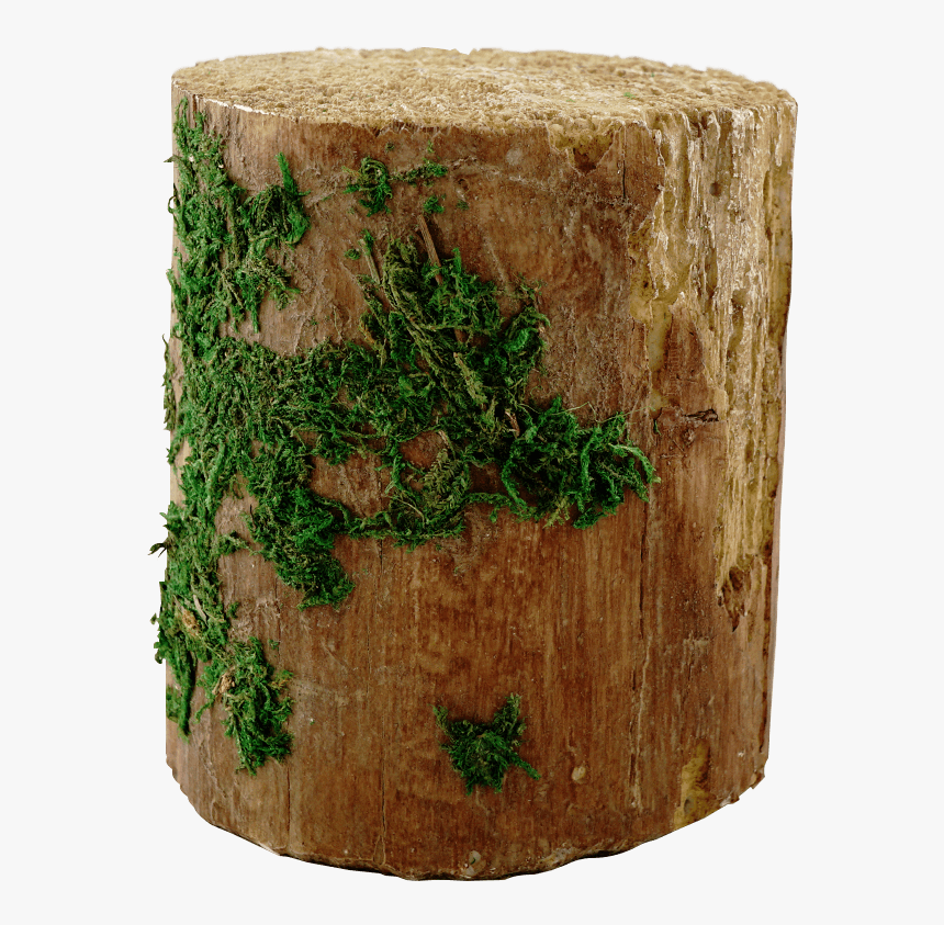 Decorative Mossy Tree Stump - Tree Stump, HD Png Download, Free Download