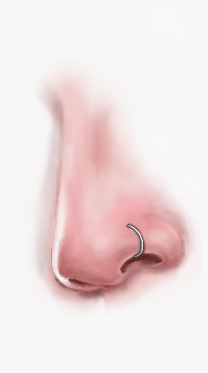 Best Quality Body Jewellery For Nose Piercing - Earrings, HD Png Download, Free Download