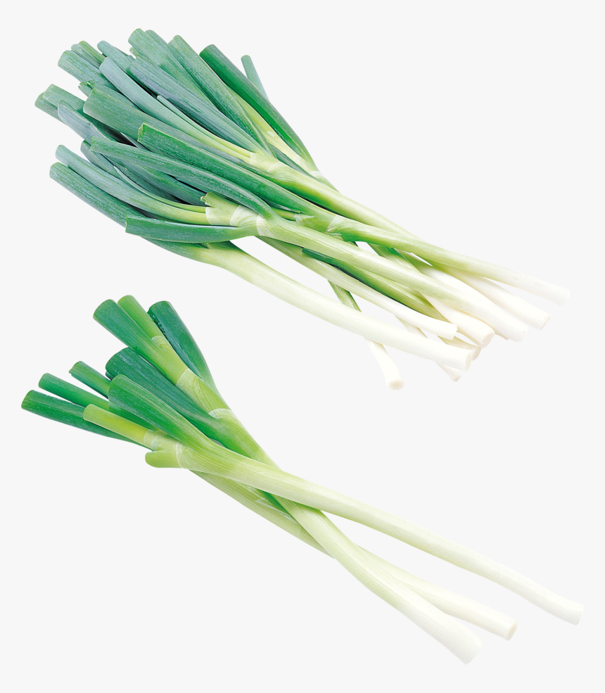 Background Leek Transparent - Portable Network Graphics, HD Png Download, Free Download