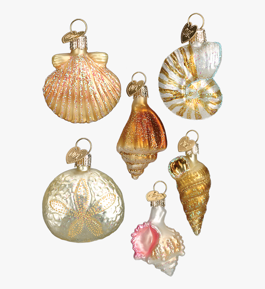 Shell Ornaments, HD Png Download, Free Download