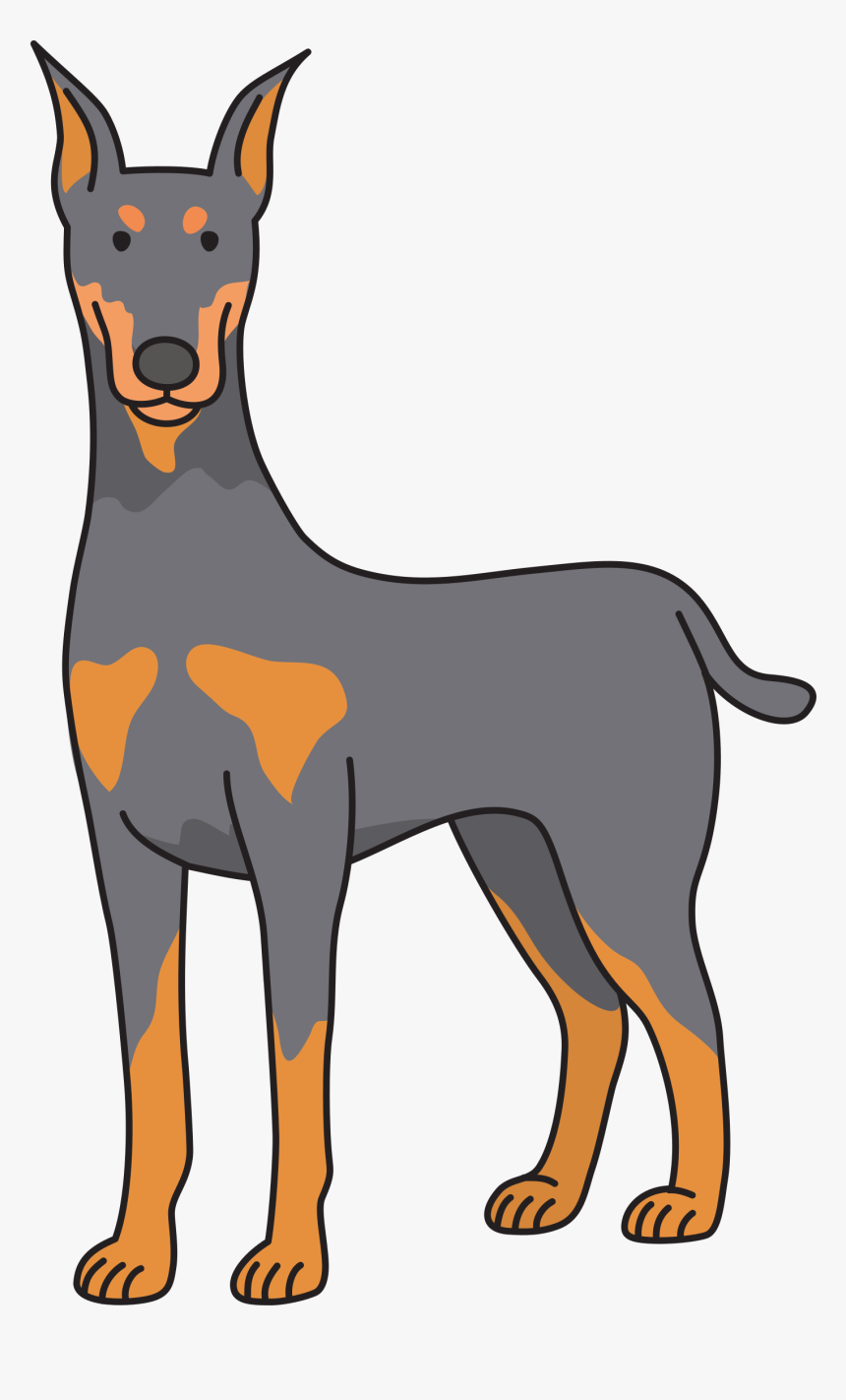 Dog - Doberman - Doberman Clipart, HD Png Download, Free Download