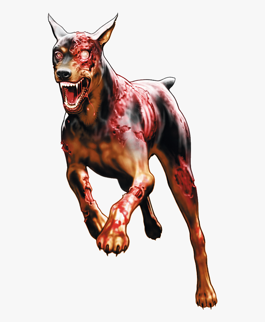 The Umbrella Chronicles Resident Evil 4 Dobermann Resident - Resident Evil Dog, HD Png Download, Free Download