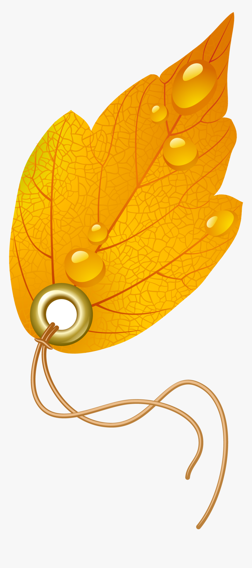 Autumn Leaves Vector, HD Png Download, Free Download