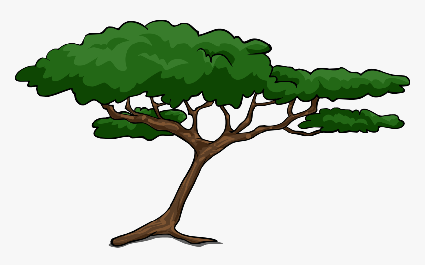 Tree Illustration Png - African Safari Tree Silhouette, Transparent Png, Free Download
