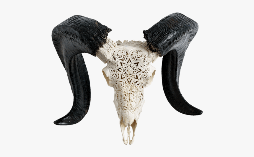 Carved Ram Skull - Horn, HD Png Download, Free Download