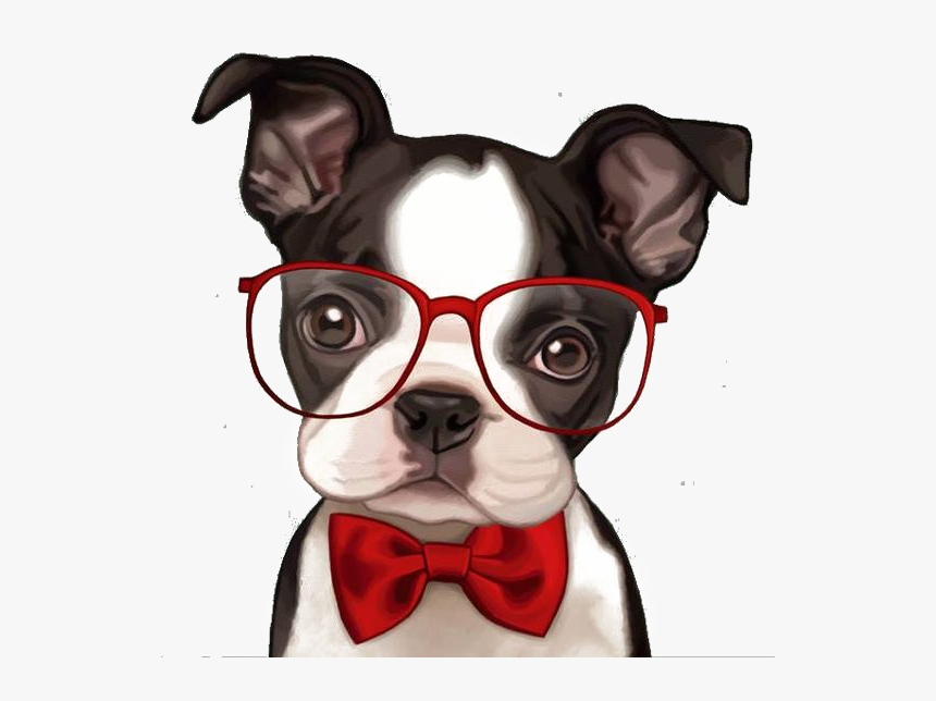 Bulldog Boston Pug French Bichon Frise Terrier Clipart - Boston Terrier Cartoon, HD Png Download, Free Download