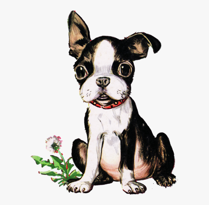 Boston Terrier Puppy Clipart, HD Png Download, Free Download